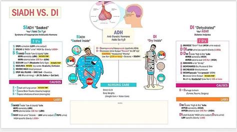 New SIADH vs DI, simply follow the 7 S’s & 7 D’s 💕💪🏽 These new cheat sheets with a foll… in 2020 ...