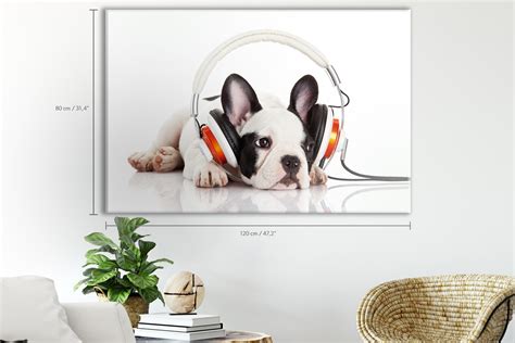 Dog Listening to Music With Headphones Isolated on White - Etsy