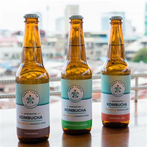 What is Kombucha? — Tangy Turtle Probiotics