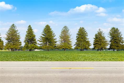 American Country Road stock image. Image of main, pathway - 31764169