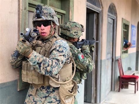 DVIDS - Images - U.S. and Mexican Marines train together during RIMPAC ...