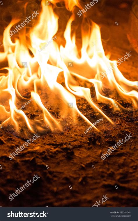 Burning Ground Burning Earth Fire On Stock Photo 733304761 | Shutterstock