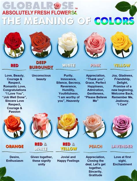 The Meaning of Colors in Flowers