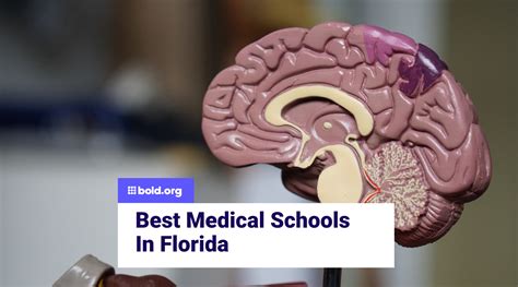 Best Medical Schools in Florida | Bold.org