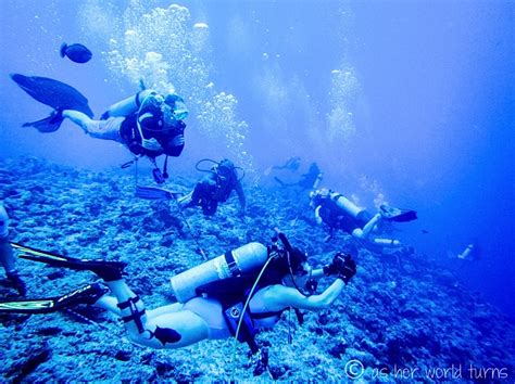 Adventure Diving in Palau | As Her World Turns