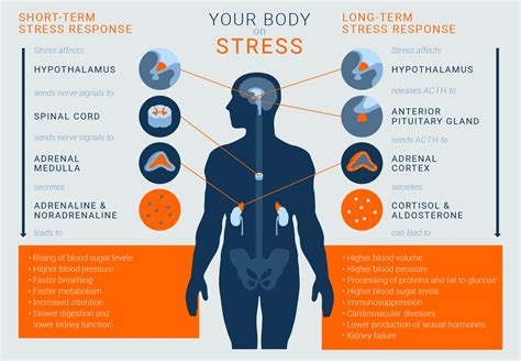 Chronic stress is a well-known risk factor for the development of psychiatric illnesses ...