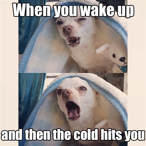 Cold Weather Memes