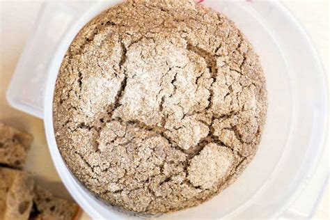 Rye Sourdough Starter Recipe | King Arthur Flour