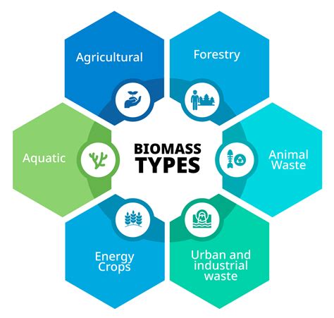 Biomass Sources in India - Steamaxindia