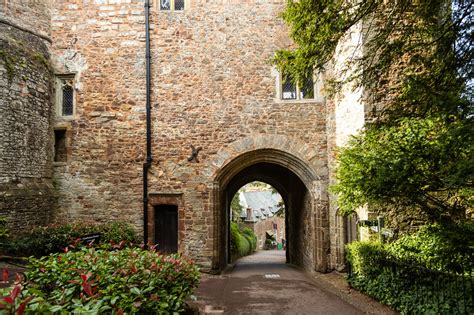 Image of Dunster Castle by Carol Henson | 1039624