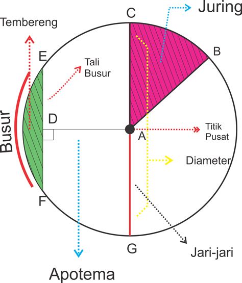 MATEMATIKA: UNSUR-UNSUR LINGKARAN ~ TEMAN KELASKU