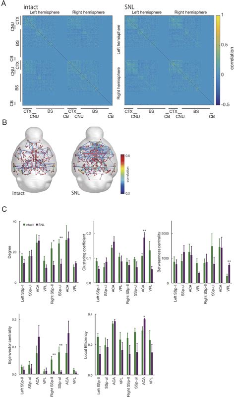 Visualization and graph theory analysis of brain networks in the ...