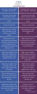Difference Between Atria and Ventricles | Definition, Structure, Function, Differences