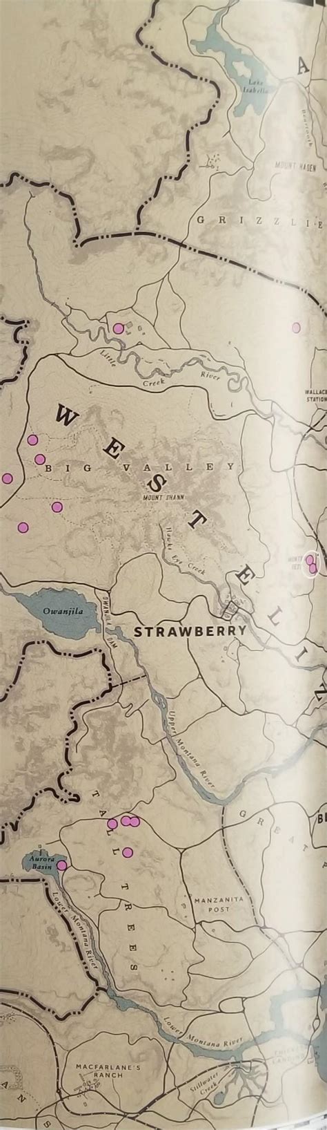 Red Dead Redemption 2 Exotics Locations Guide