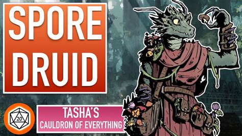 Is Circle of Spores Druid a Good Subclass? | Tashas Cauldron of Everything | Subclass Tier List ...