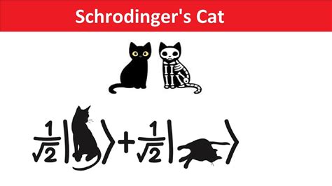 Schrodinger's Cat Experiment Explained