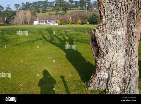 Shadow of tree and photographer Stock Photo - Alamy