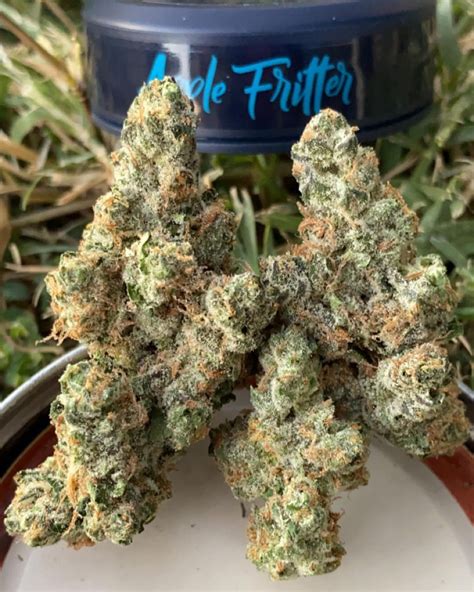 Strain Review: Apple Fritter by Grow Sciences - The Highest Critic