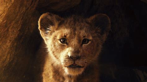 Simba Movie 4k Wallpapers - Wallpaper Cave