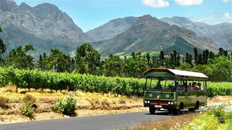 Franschhoek Wine Tram - Book Online at Activitar.com