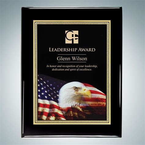 Amazon.com : wall plaques recognition plaques styles eagle achievement wall plaque : Award ...