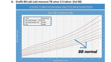 Contoh Format Tinggi Badan Menurut Usia - Delinewstv