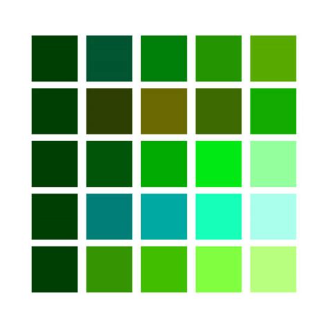 290+ Shades Of Green Color Chart Illustrations, Royalty-Free Vector ...