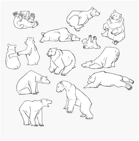 Simple Bear Outline Tattoos Images Amp Pictures Nearpics - Grizzly Bear ...