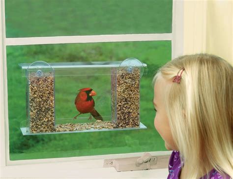 Duncraft One-Way Magic Mirror Window Bird Feeder » Gadget Flow