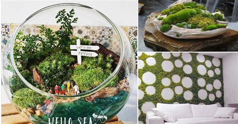 11 DIY Indoor Moss Garden Ideas | Growing a Moss Garden