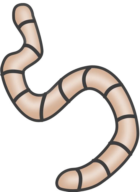 Worm clipart - Clipground