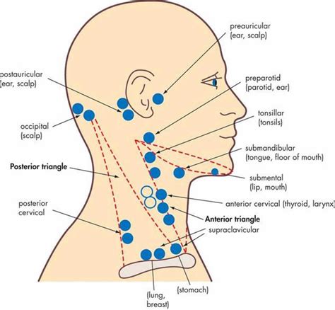 Nasopharyngeal cancer causes, symptoms, diagnosis, treatment & prognosis