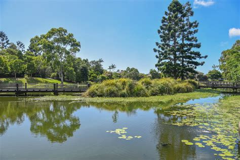 Relax at the Gold Coast Botanic Gardens | Curious Campers