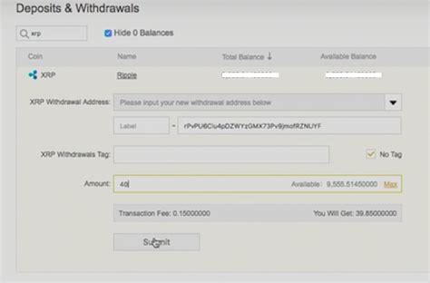 How to Set Up a Ripple (XRP) Wallet?