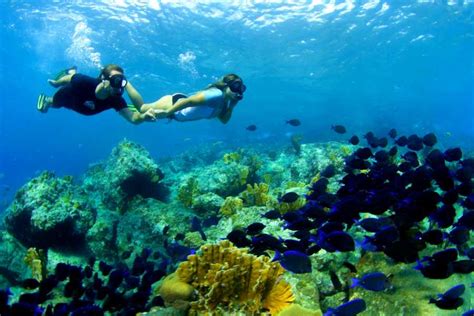 Blue C Half Day Snorkel Trip - Blue Bay Dive & Watersports