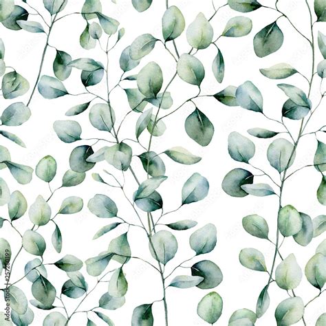 Watercolor silver dollar eucalyptus seamless pattern. Hand painted ...