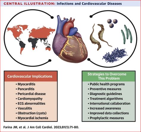 Infections and Cardiovascular Disease: JACC Focus Seminar 1/4 | Journal of the American College ...