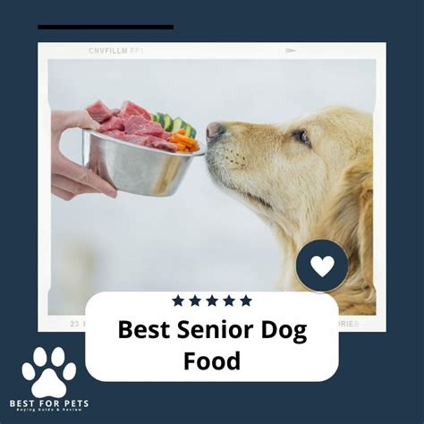 Best Senior Dog Food - Best For Pets