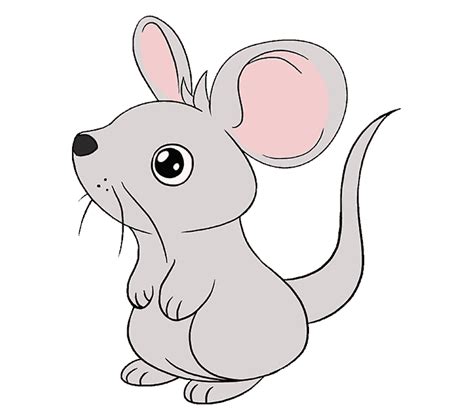 How to Draw a Mouse | Step-by-Step Tutorial | Easy Drawing Guides