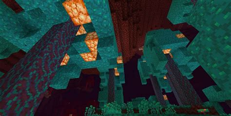 Warped Forest in Minecraft