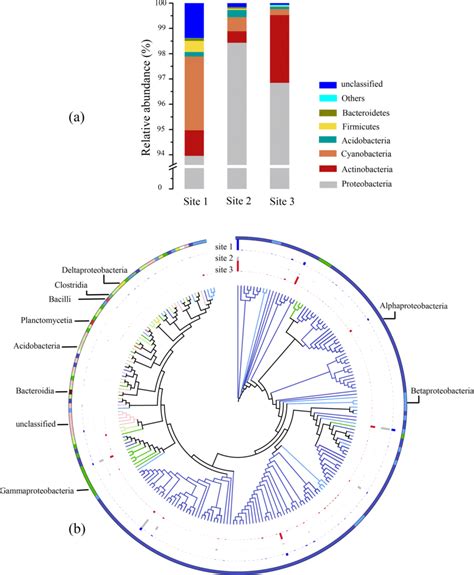 Composition and phylotypes of diazotrophic operational taxonomic units ...