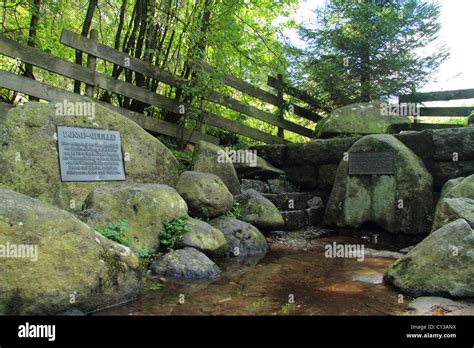 Beginning of the Danube River at the Source of Breg River near Furtwangen, Black Forest Germany ...