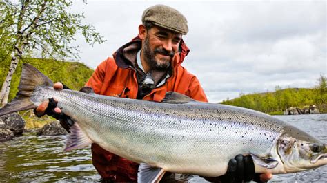 Atlantic Salmon: An Acrobatic Prize Fighter - Anglers Journal - A Fishing Life