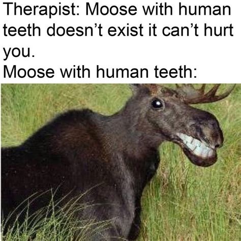 Moose with human teeth : memes