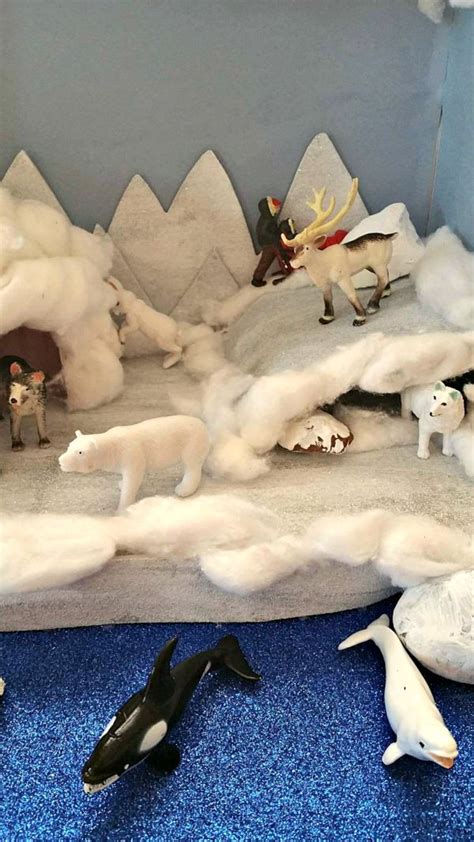 Making An Arctic Diorama | Arctic diorama, Diorama kids, Diarama ideas for kids