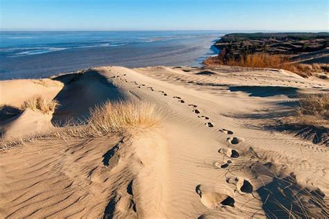 Discover Neringa: Why Explore Lithuania's Magnificent Curonian Spit