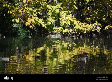 White Rock Lake Sunset Bay Stock Photo - Alamy