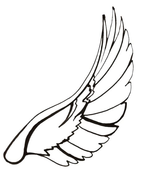 Dove Wings Drawing at GetDrawings | Free download