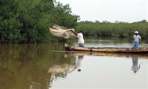 How is biodiversity governed? The case of Colombia | Research ...