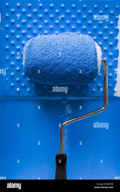 Paint roller in tray with paint Stock Photo - Alamy